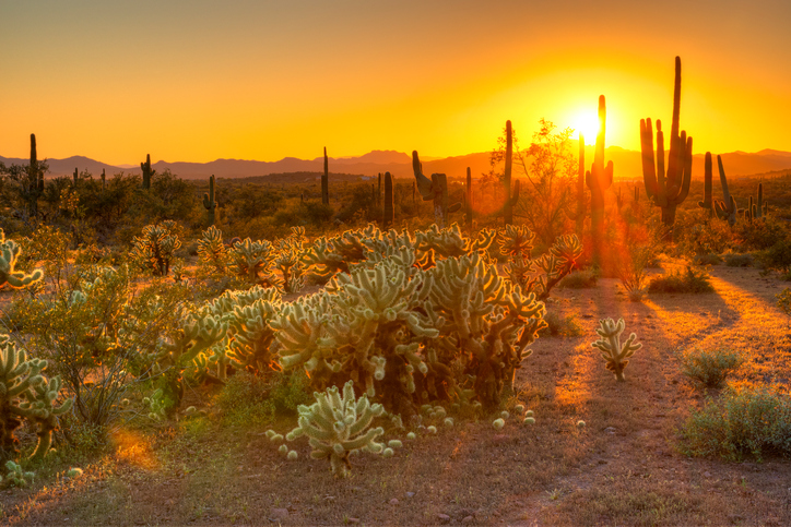 Valley Chevy Summer Heat Car Care Tips