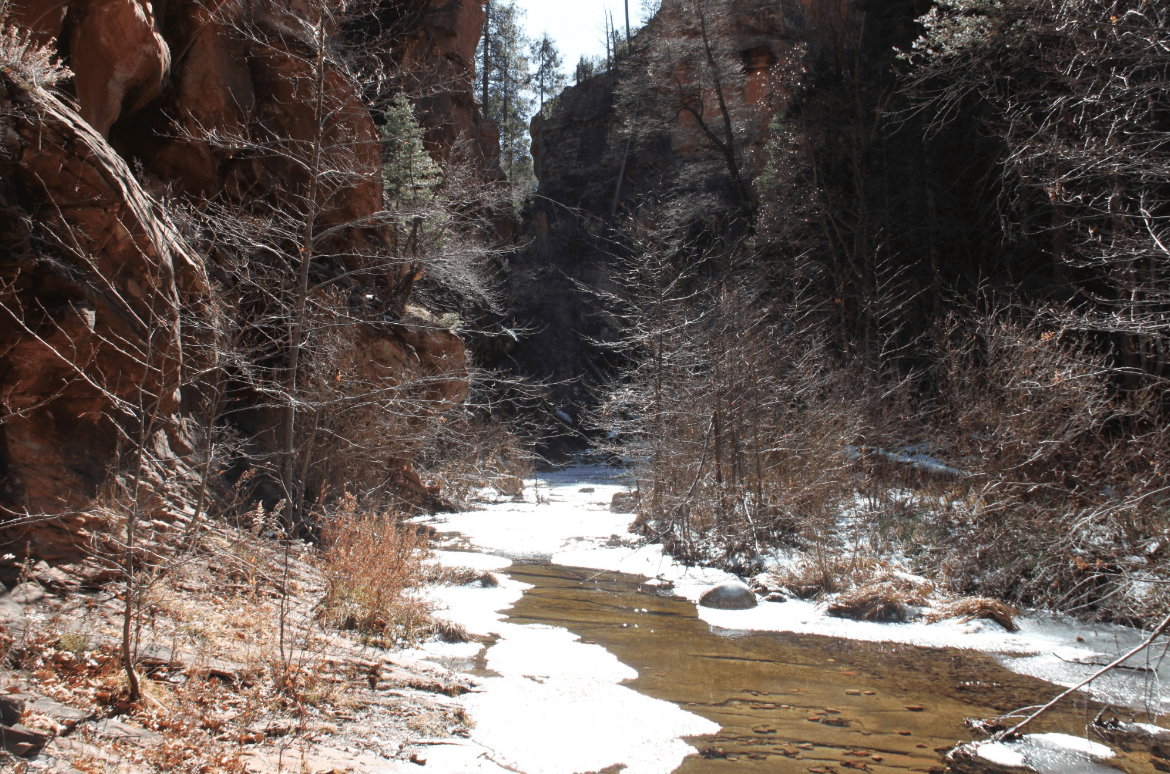 Oak_Creek_Canyon_Trip_6