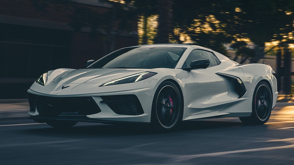 Featured Image Sorevette Stingray 2025