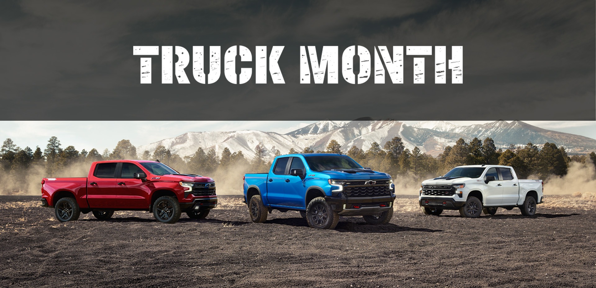 TRUCK MONTH SLIDE ENG