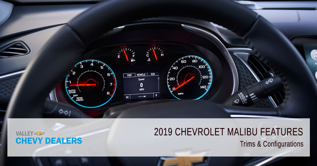 2019 Chevy Malibu - Trims